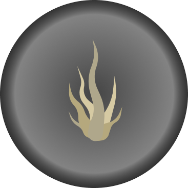 Flame